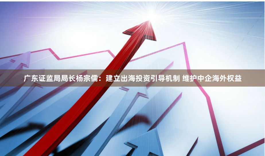 广东证监局局长杨宗儒：建立出海投资引导机制 维护中企海外权益