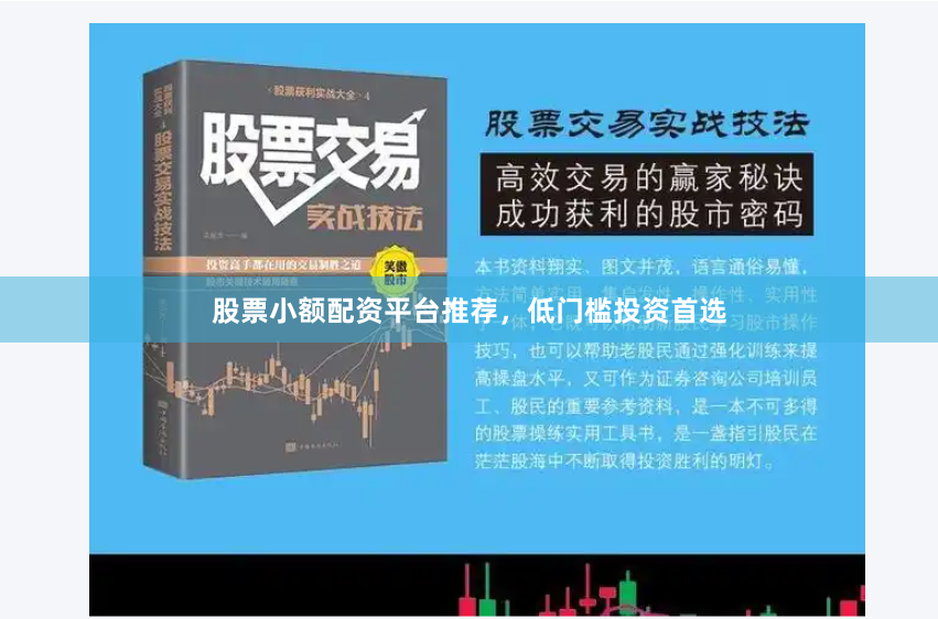 股票小额配资平台推荐，低门槛投资首选