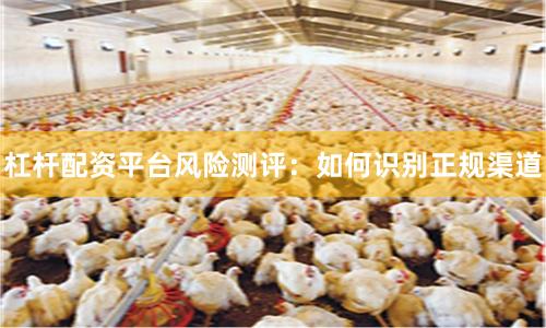 杠杆配资平台风险测评:如何识别正规渠道